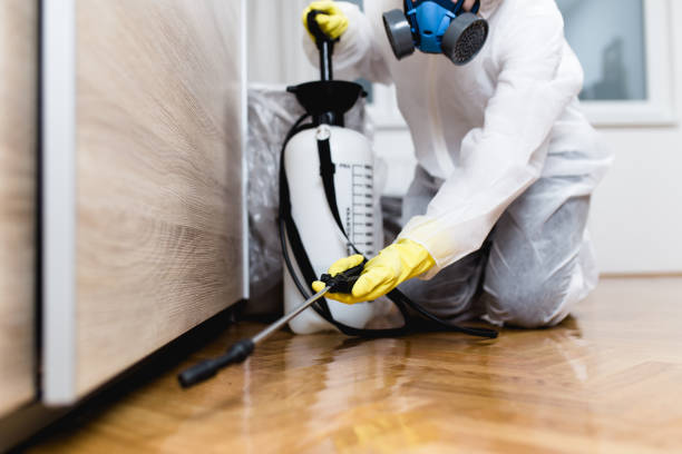 Professional Pest Control in Minneota, MN