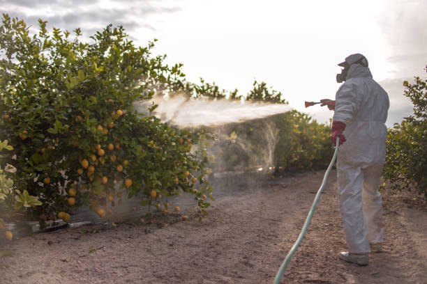 Best Residential Pest Control  in Minneota, MN
