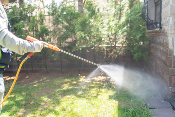Best Best Pest Control Companies  in Minneota, MN