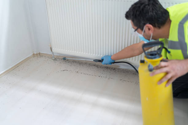 Best Affordable Pest Control Services  in Minneota, MN