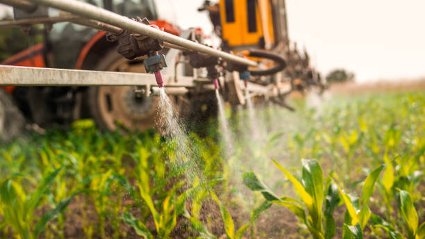 Best Wildlife Control Services  in Minneota, MN